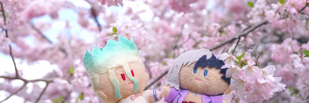 rui_1126's profile banner image