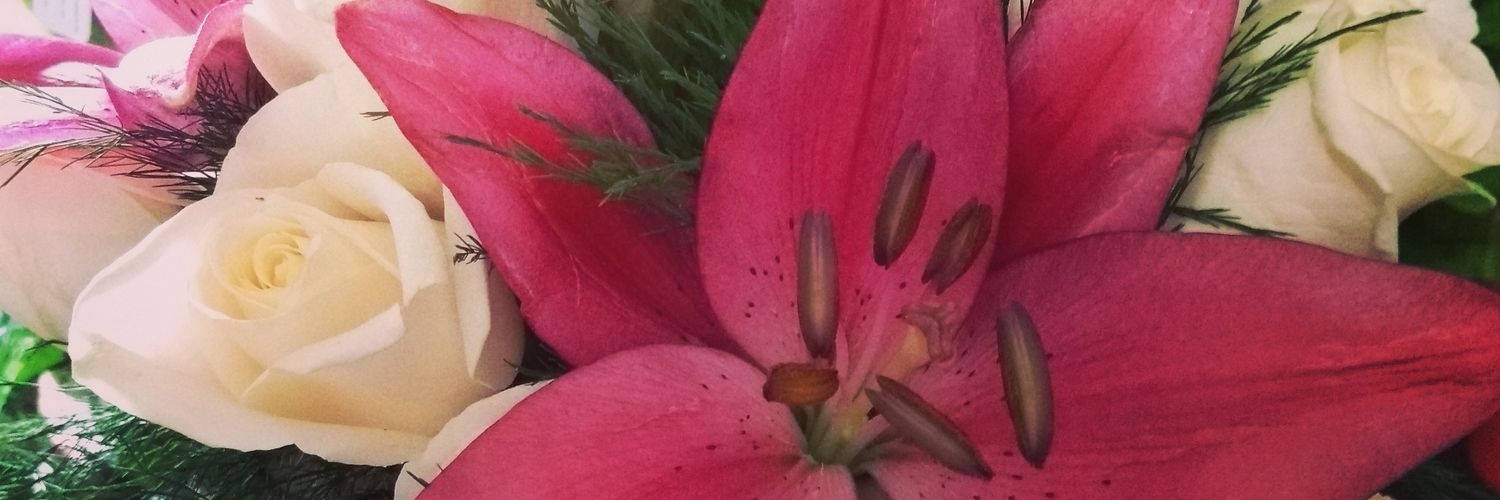 Satalindk's profile banner image