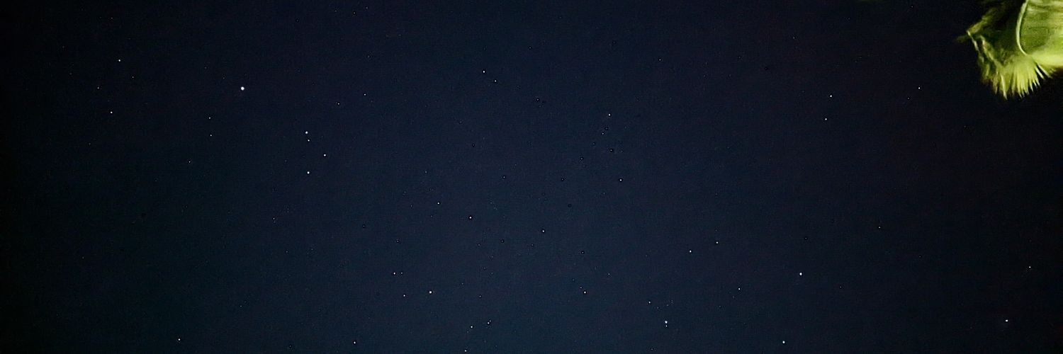 realrhi's profile banner image