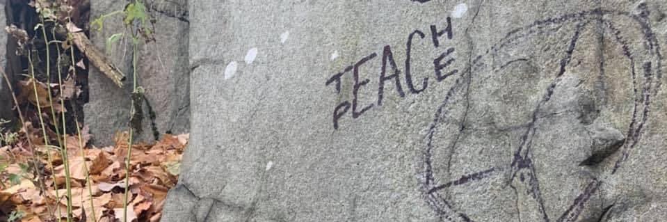 michellefalco_'s profile banner image