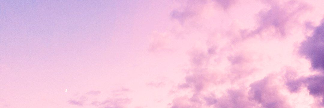 pearl 🦊🕶 banner