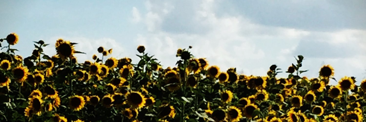 _whitneyyyb_'s profile banner image