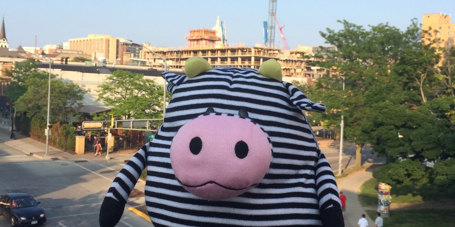 HowardTheCOW's profile banner image