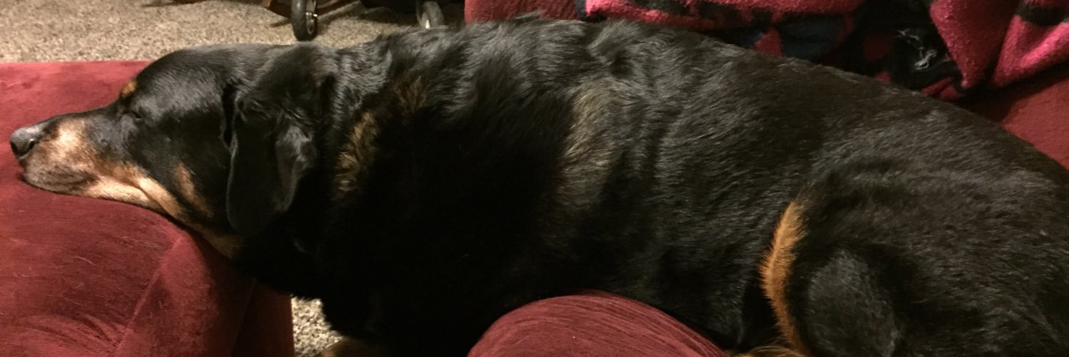 kaylepail's profile banner image