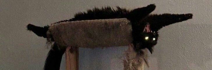 retnoastr's profile banner image