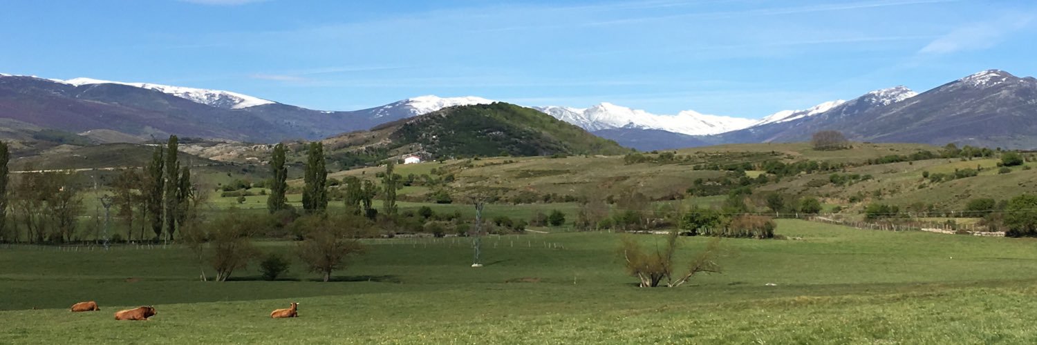 Fernando fernandez banner