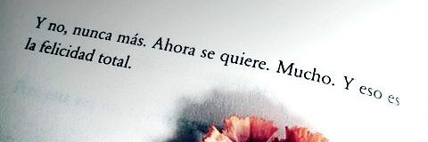 dulcecomolasal's profile banner image