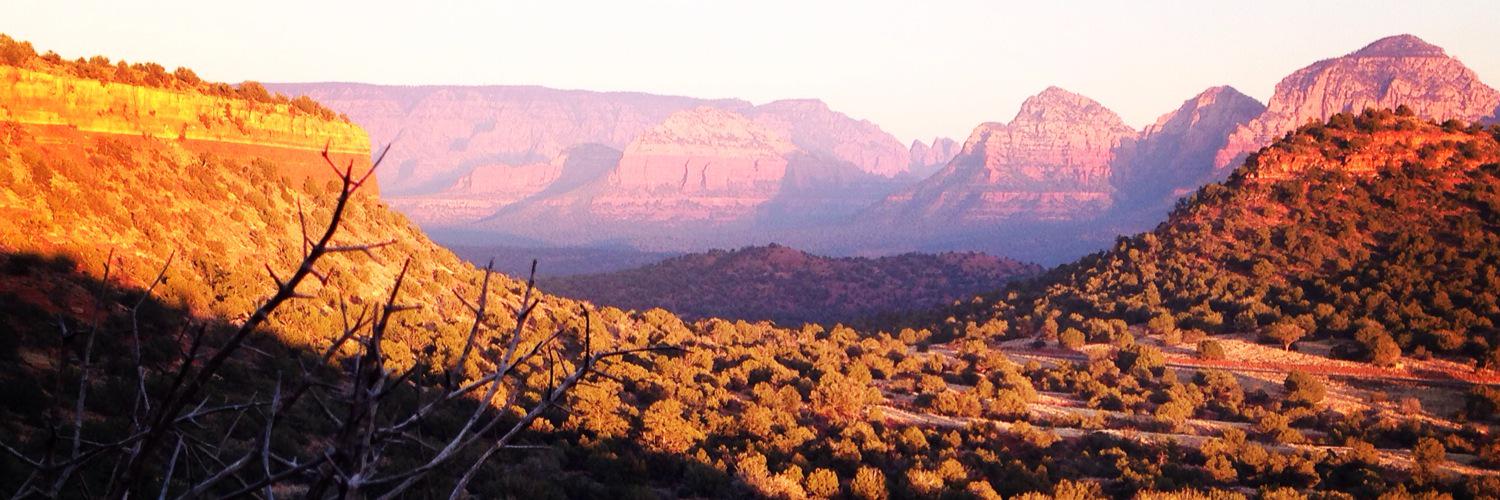 haleylrobison's profile banner image