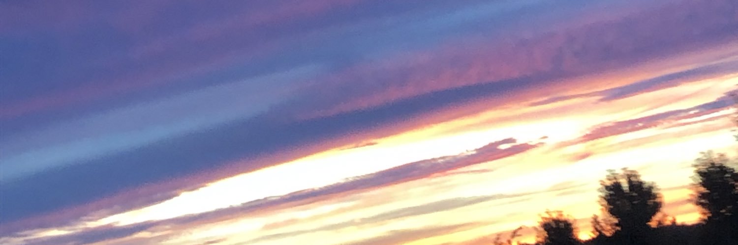 jazwellman's profile banner image