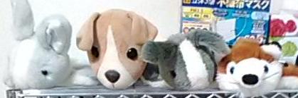 moco56's profile banner image