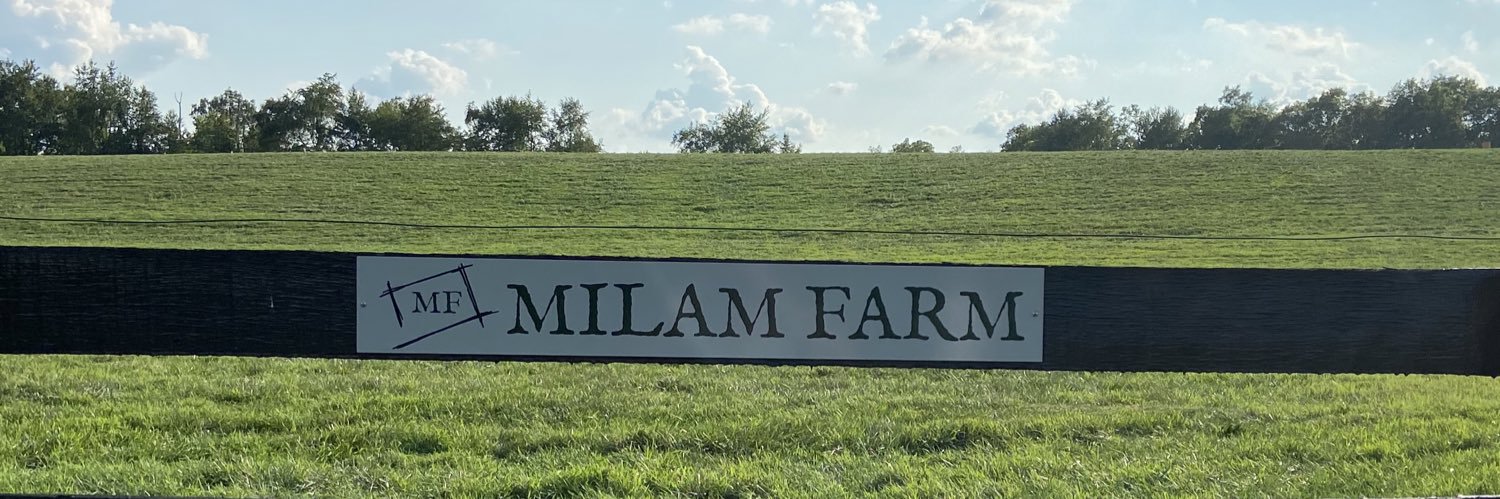 Michael Dudgeon banner