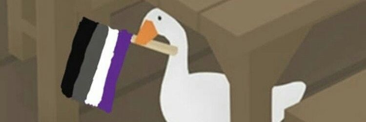 Mit Irwin 🦄 banner