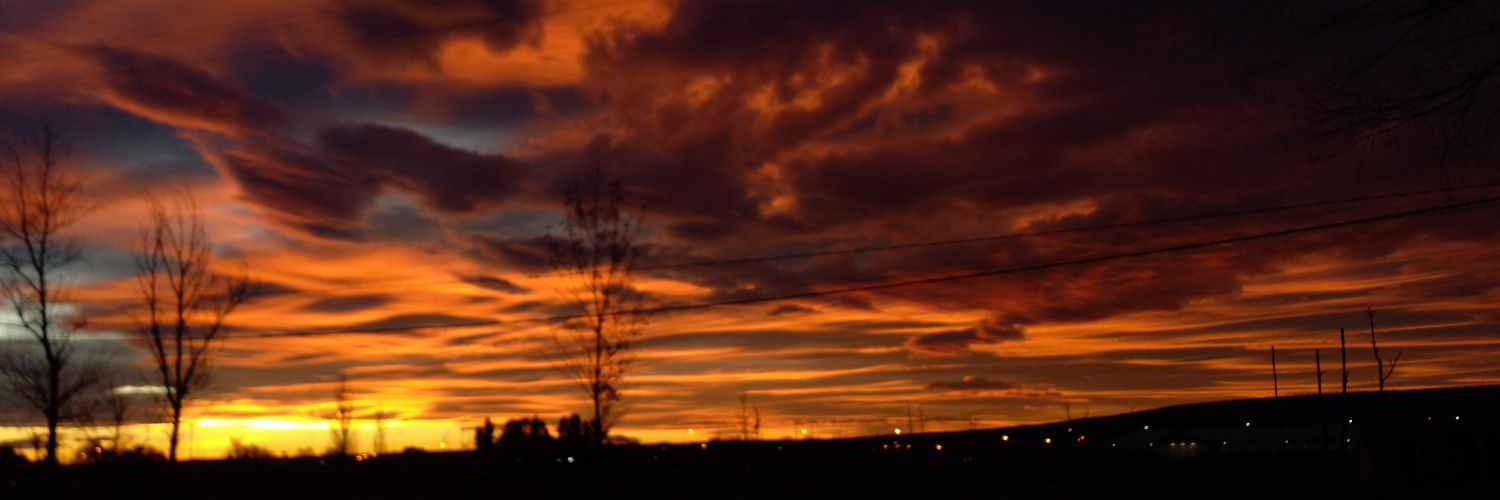 feersokoluk1's profile banner image