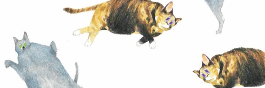 farhffkkk's profile banner image