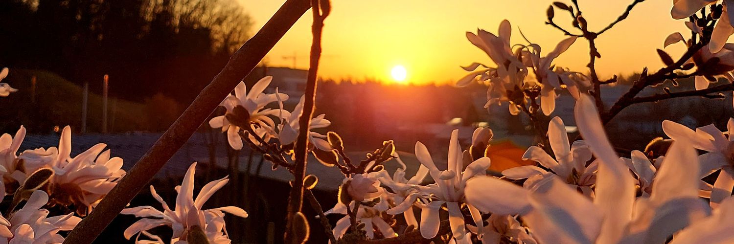 hulya8046's profile banner image