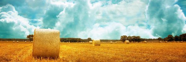 tessamatson Profile Banner