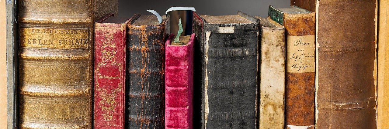 Katie Webb, MLS banner