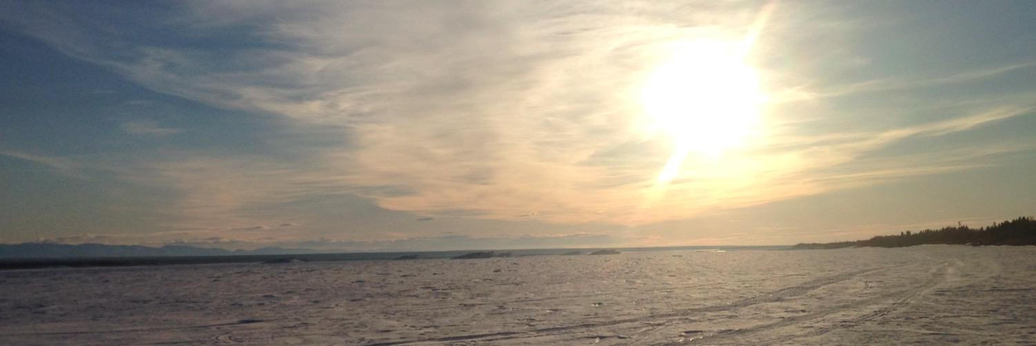 buggies82's profile banner image