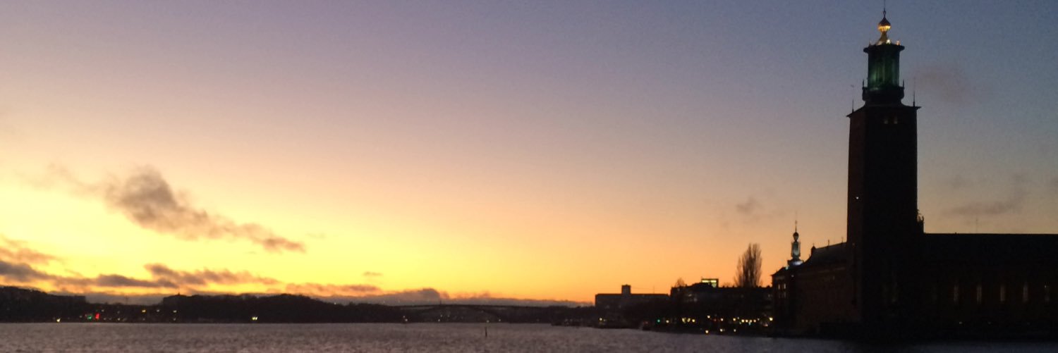 Karin Röding banner