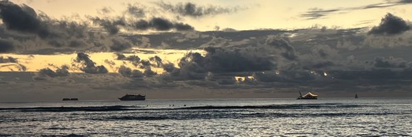 DrCarlaPrado Profile Banner