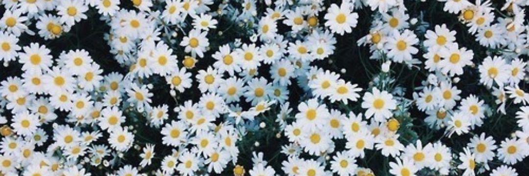 yildizsenaaa's profile banner image