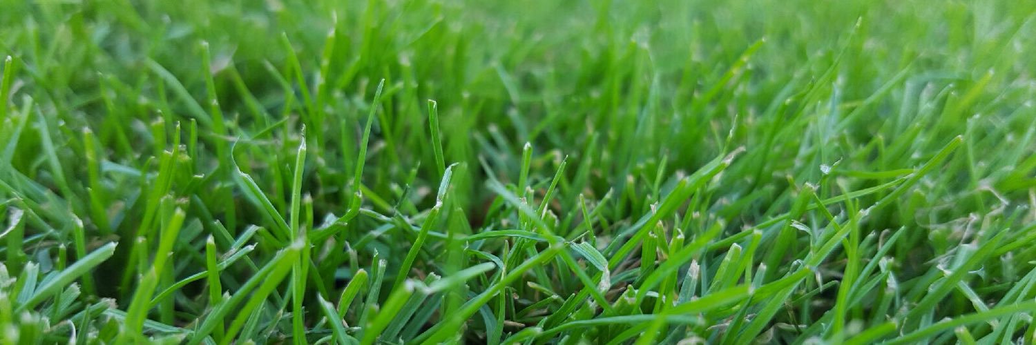 glendalee64's profile banner image