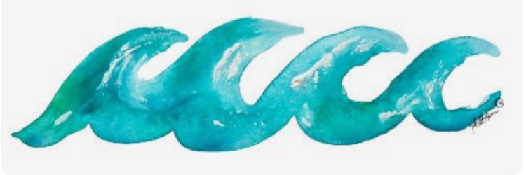 alohamandaaa's profile banner image