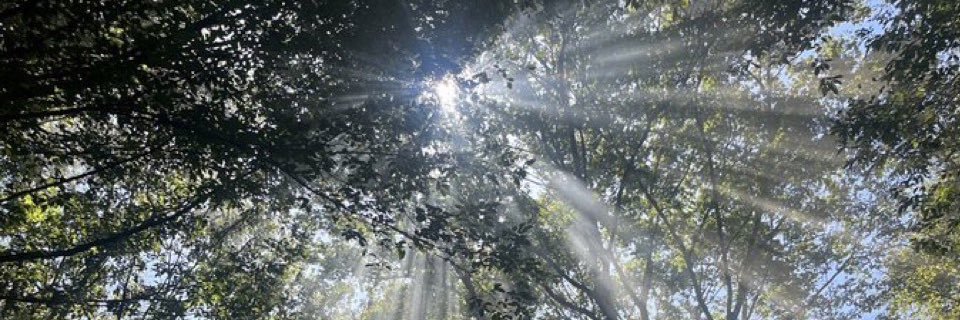 tkhnmt's profile banner image