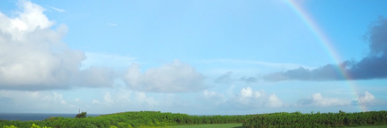 トレヴのポケポケ banner