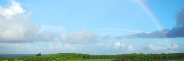 treve781 Profile Banner