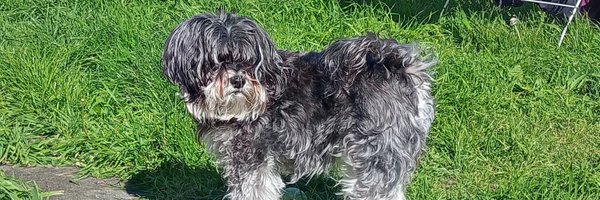 bennettLmorgan Profile Banner