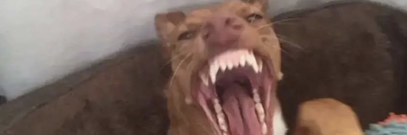_gabe_itch_'s profile banner image