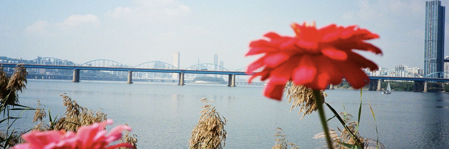 sctrayo's profile banner image