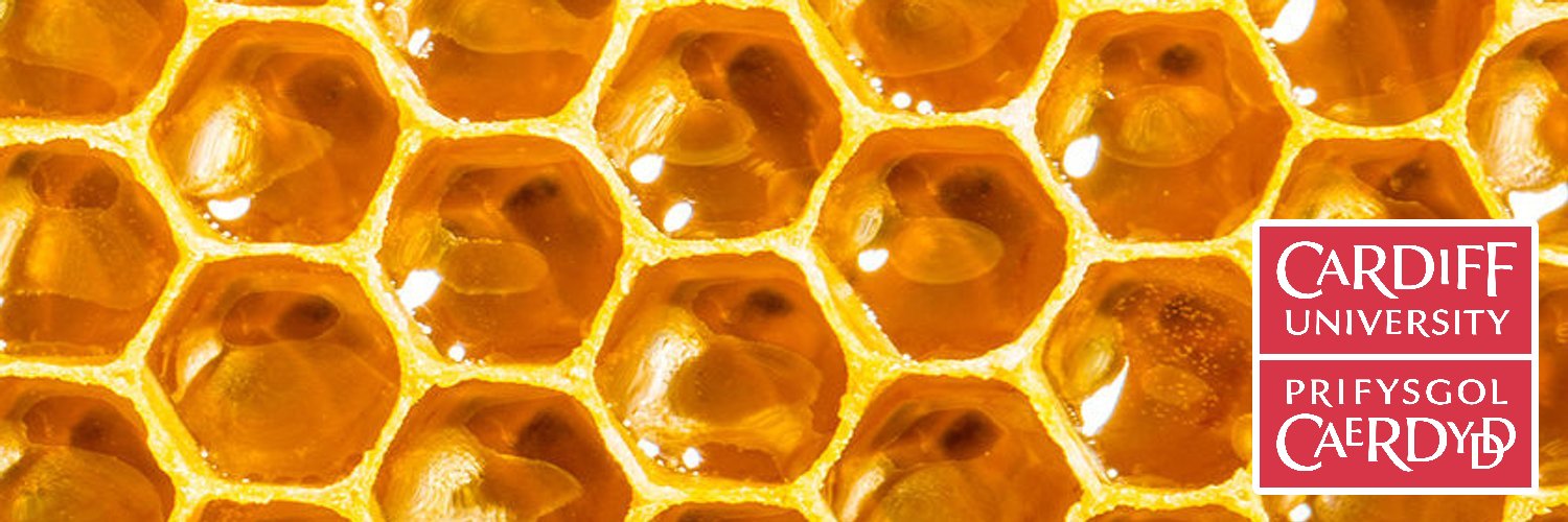 Pharmabees banner