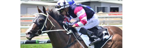 noble bend farm banner