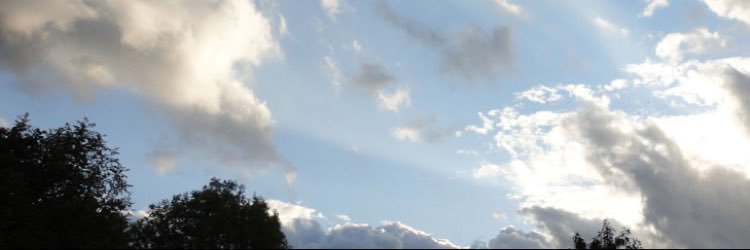 doIceIrh's profile banner image