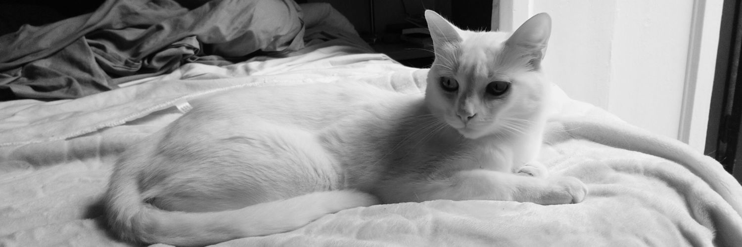 Maria Blanco de Paz banner