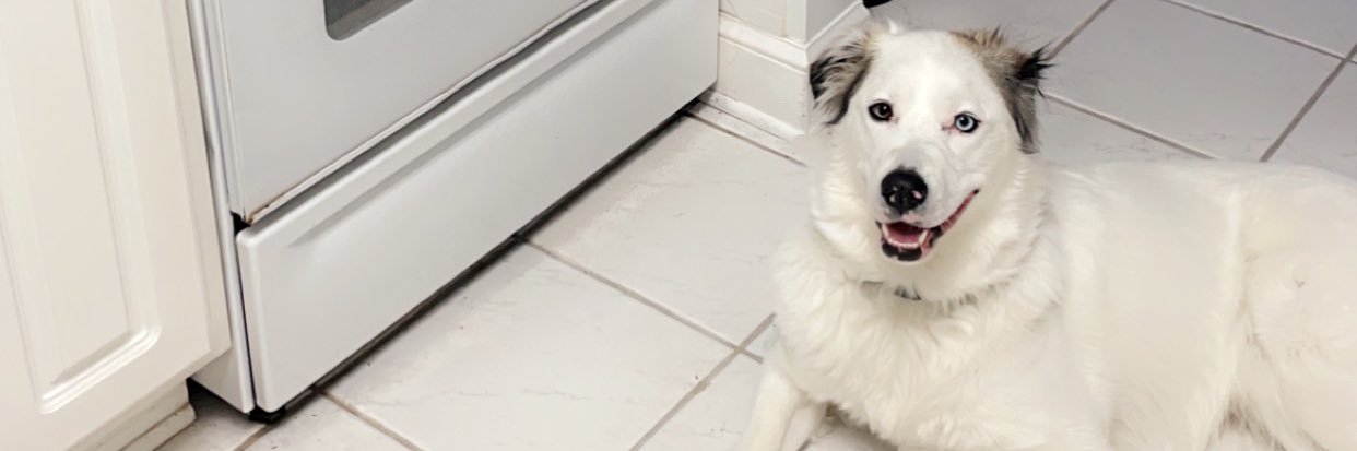Tylerkirk_15's profile banner image