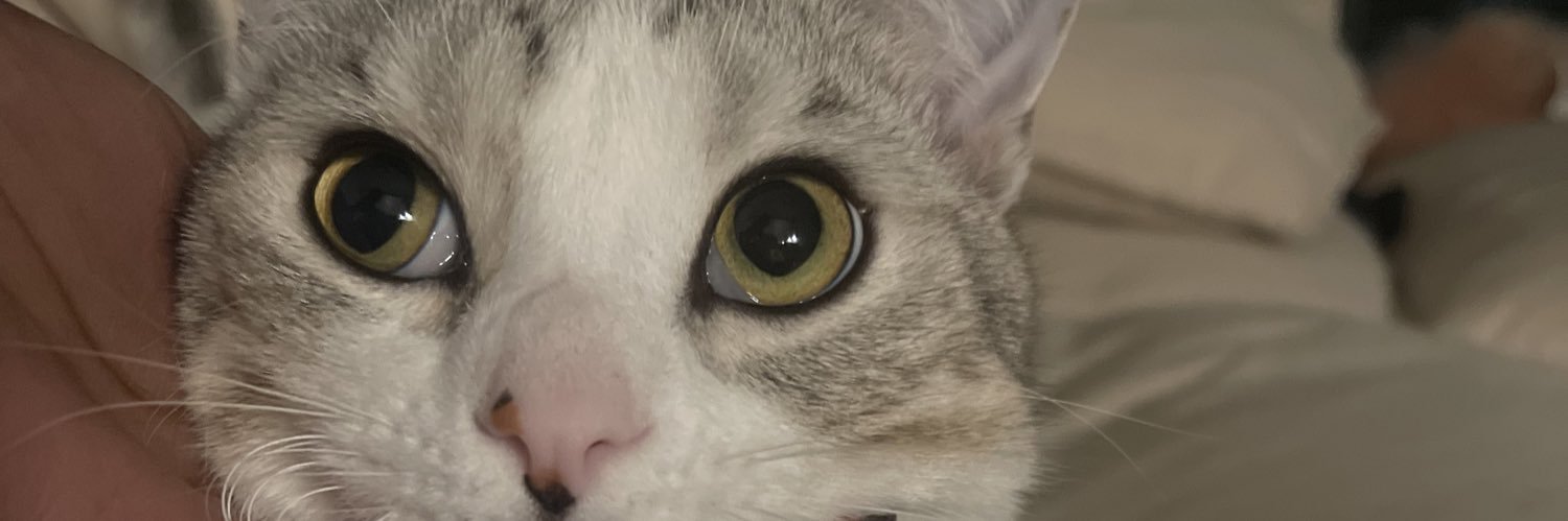 EllenyaBrito's profile banner image