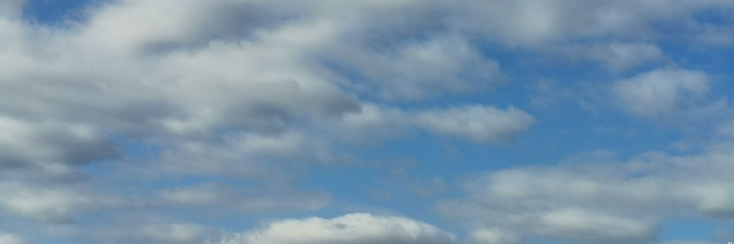 pins14's profile banner image