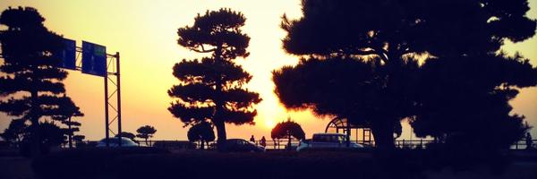 aztic_canova Profile Banner