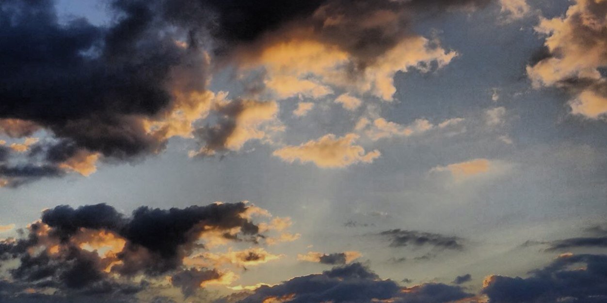 CAROLYN WHITE banner