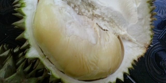 KebunA's profile banner image