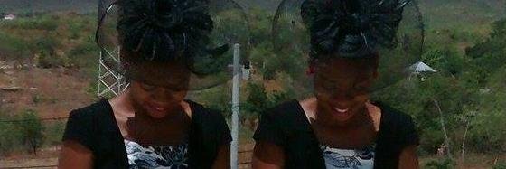 SIP_Twins's profile banner image