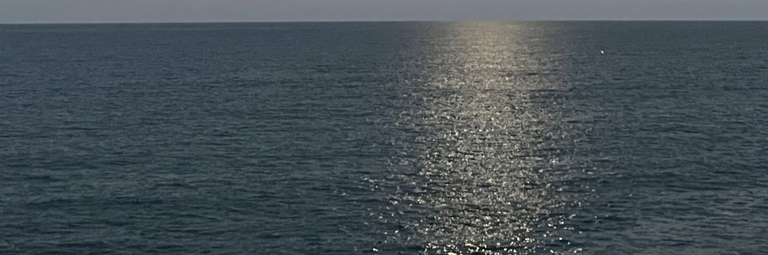 VirOLIVALOPEZ's profile banner image