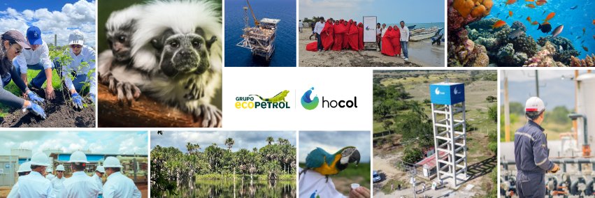 HocolCol's profile banner image
