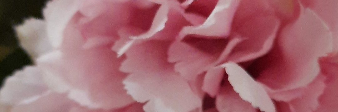 amkav57's profile banner image