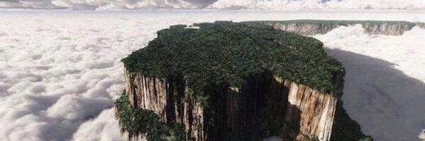 williamogollon's profile banner image