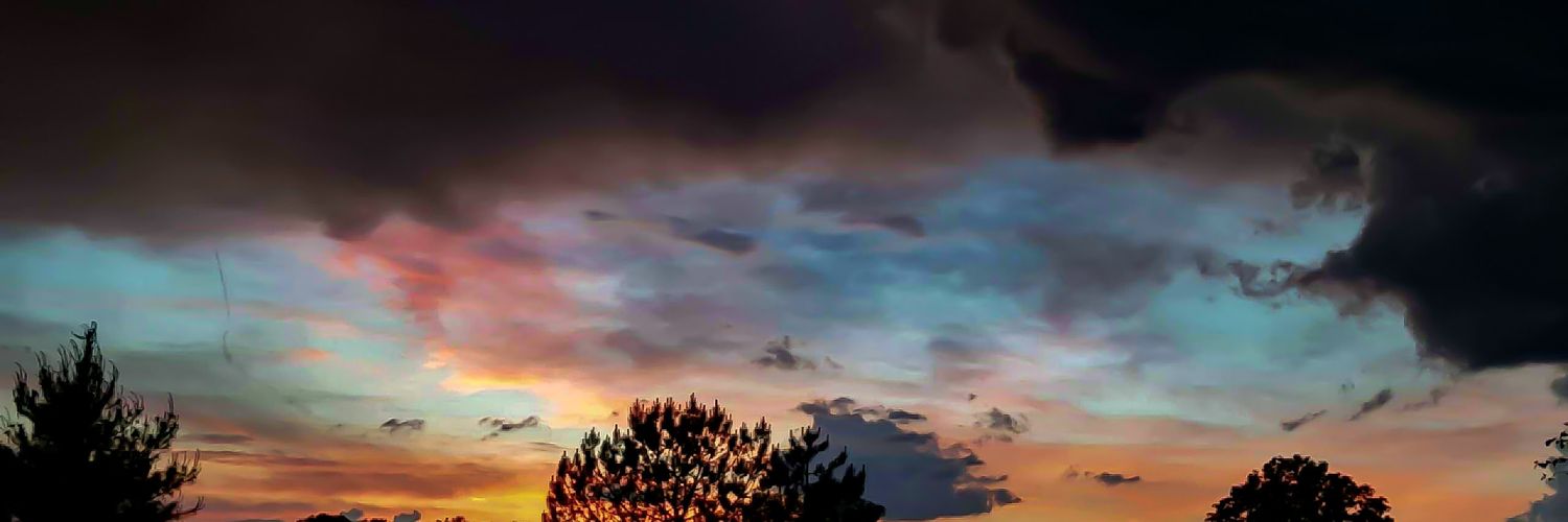 daniellehemsoth's profile banner image