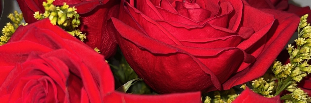 _angelisee's profile banner image